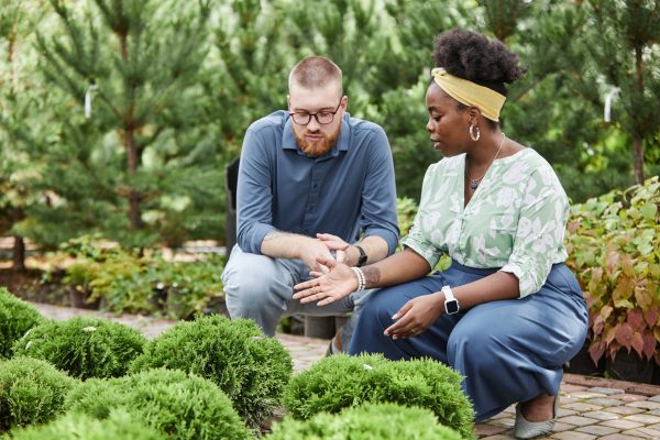 Adult male client choosing coniferous shrubs for garden project with African American female landscape architect, while sitting on squat and discussing design options in plant nursery